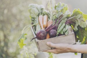 panier de légumes, ingrédients durables et de qualité